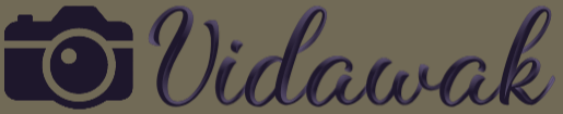 Logo of Vidawak with a camera icon on a dark background
